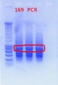 Thumbnail for version as of 16:01, 29 December 2011