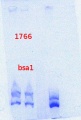 Thumbnail for version as of 10:59, 13 June 2013