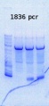 Thumbnail for version as of 11:16, 30 August 2013