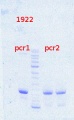 Thumbnail for version as of 10:14, 19 November 2013