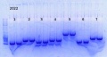 Thumbnail for version as of 15:30, 17 January 2014