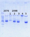 Thumbnail for version as of 11:12, 17 March 2014