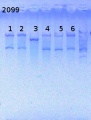 Thumbnail for version as of 14:22, 12 June 2014