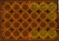 Thumbnail for version as of 18:54, 8 October 2014
