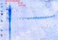 Thumbnail for version as of 16:44, 27 January 2019