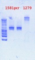 Thumbnail for version as of 17:47, 25 February 2013