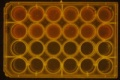 Thumbnail for version as of 15:48, 31 March 2016