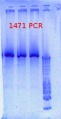Thumbnail for version as of 14:34, 27 December 2012