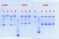 Thumbnail for version as of 10:26, 6 December 2013