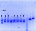 Thumbnail for version as of 12:40, 11 September 2014
