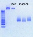 Thumbnail for version as of 15:21, 29 January 2013