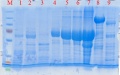 Thumbnail for version as of 13:21, 28 September 2013