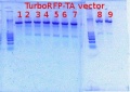 Thumbnail for version as of 16:08, 7 March 2012
