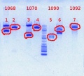 Thumbnail for version as of 14:22, 26 April 2012