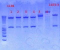 Thumbnail for version as of 11:37, 12 December 2012