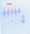 Thumbnail for version as of 15:17, 13 May 2014