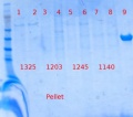 Thumbnail for version as of 15:18, 13 December 2012