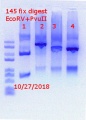 Thumbnail for version as of 13:05, 27 October 2018