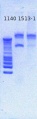 Thumbnail for version as of 14:42, 22 March 2013