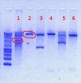 Thumbnail for version as of 11:27, 31 December 2012