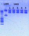 Thumbnail for version as of 17:14, 27 February 2013