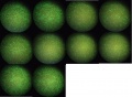 Thumbnail for version as of 11:45, 11 January 2012