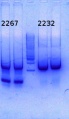 Thumbnail for version as of 13:12, 22 August 2014
