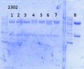 Thumbnail for version as of 14:22, 12 September 2014