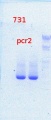 Thumbnail for version as of 14:22, 19 March 2014