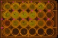 Thumbnail for version as of 12:10, 22 August 2014