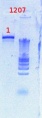 Thumbnail for version as of 16:22, 29 June 2012