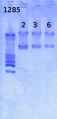 Thumbnail for version as of 14:36, 22 March 2013