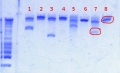 Thumbnail for version as of 13:43, 3 January 2013