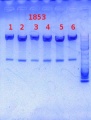 Thumbnail for version as of 16:46, 18 October 2013