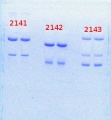 Thumbnail for version as of 14:29, 23 April 2014