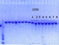 Thumbnail for version as of 12:53, 11 September 2014