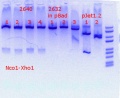 Thumbnail for version as of 17:49, 23 October 2019