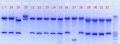 Thumbnail for version as of 16:15, 26 August 2011