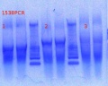 Thumbnail for version as of 09:53, 22 January 2013