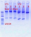 Thumbnail for version as of 17:31, 5 January 2019