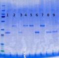 Thumbnail for version as of 16:58, 6 December 2013