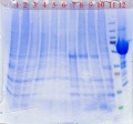 Thumbnail for version as of 18:36, 14 January 2014