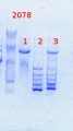 Thumbnail for version as of 14:02, 21 March 2014