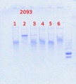 Thumbnail for version as of 13:27, 30 April 2014