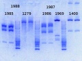 Thumbnail for version as of 17:19, 18 December 2013