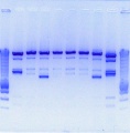Thumbnail for version as of 15:13, 25 October 2010