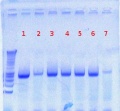 Thumbnail for version as of 11:11, 19 July 2012