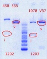 Thumbnail for version as of 16:08, 23 May 2012