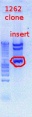 Thumbnail for version as of 14:43, 17 July 2012