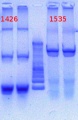 Thumbnail for version as of 15:26, 8 March 2013